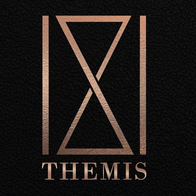 Logo_themis.png